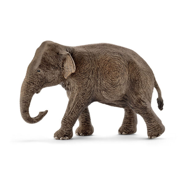 schleich WILD LIFE Aziatische Olifant, Vrouwtje 14753