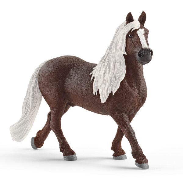 schleich HORSE CLUB Zwarte Woud Hengst 13897