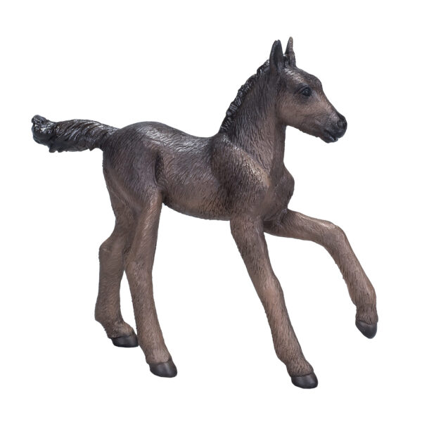 Mojo Horse World Arabisch Veulen Zwart - 381015