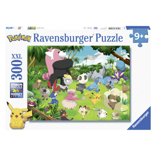 Pokémon Puzzel, 300st.