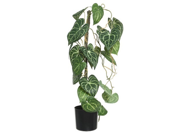 Decoris Kunstplant klimplant polyester in kunststof zwarte pot L28-W23-H66cm