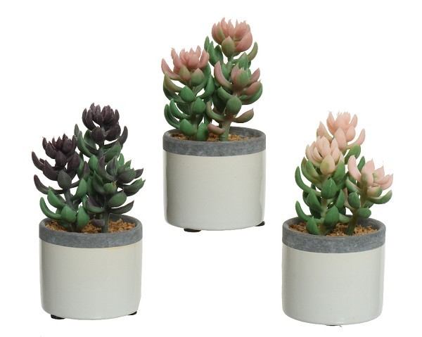 Decoris Kunstplant vetplant in pot keramiek  L7.5-B7.5-H14cm- verkrijgbaar in 3 verschillende kleuren