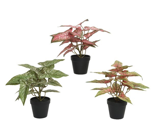 Decoris Plant polyester in kunststof pot  L35-W35-H37cm- verkrijgbaar in 3 verschillende kleuren