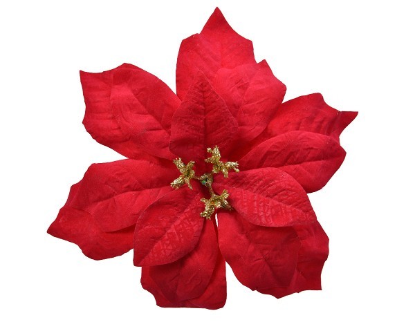 Decoris Poinsettia kerstster velvet op clip Dia 16cm