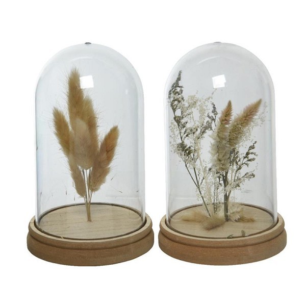 Decoris stolp glas Ø12-H19cm  met droogbloemen