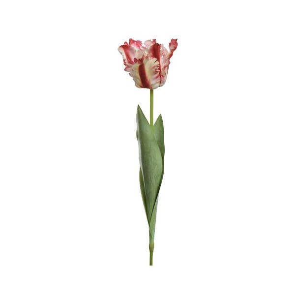 Decoris Tulp op steel polyester 13x10x68cm rood/wit