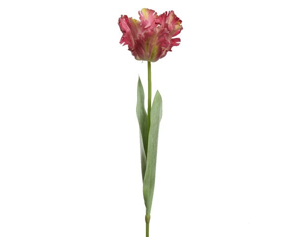 Decoris Tulp polyester L13-W10-H68cm Roze