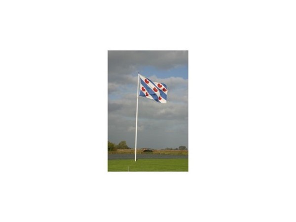 Friese vlag 100x150 cm