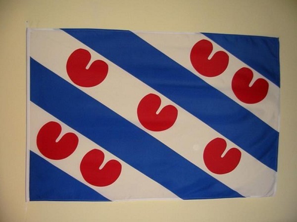 Friese vlag 30 x 45 cm