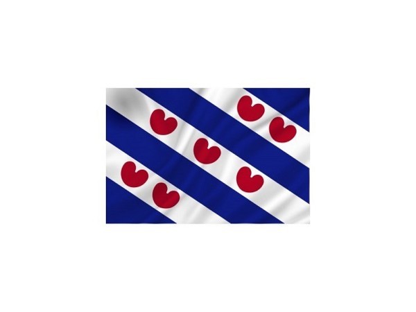 Friese vlag 50x75 cm spun-poly