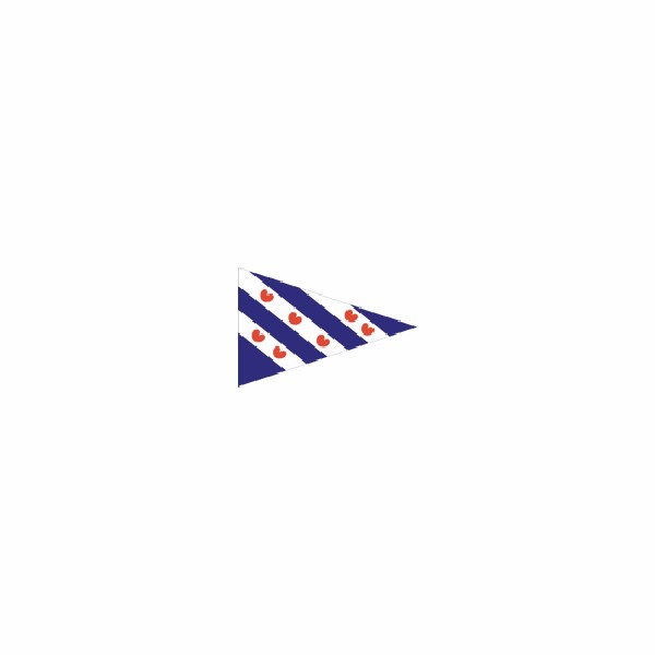 Friese vlag Puntvlag Friesland 20x30 cm