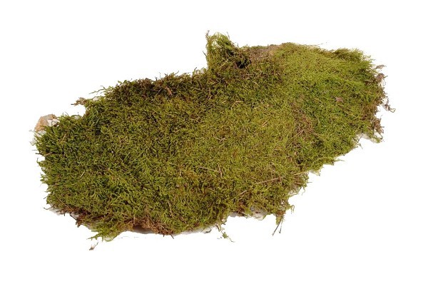 Hobby Flat Moss 80gram Naturel