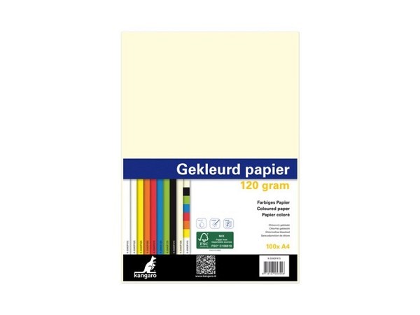 Kopieerpapier A4 120gr 100vel assorti kleuren in pak