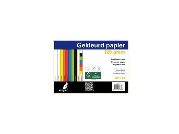 Kopieerpapier A4 120gr 100vel wit