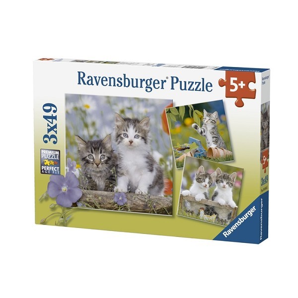 Ravensburger Puzzel Jonge katjes, 3x49 stukjes