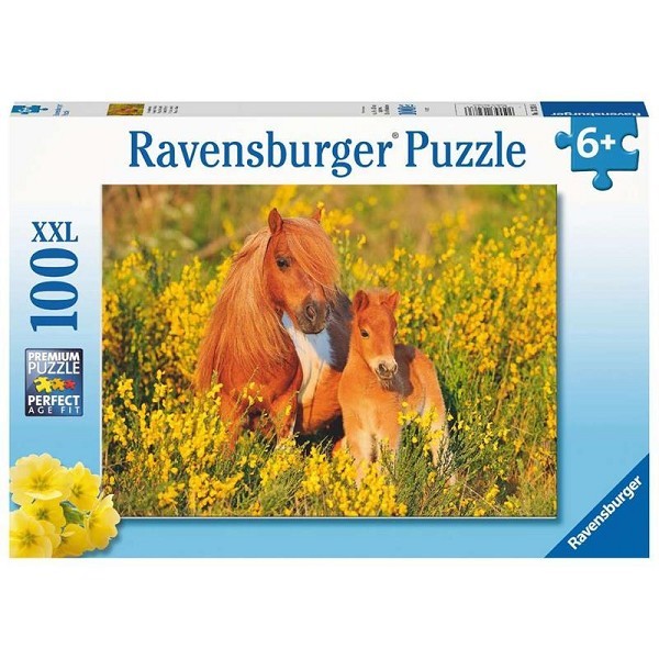 Ravensburger puzzel Shetlandpony's 100 XL stukjes