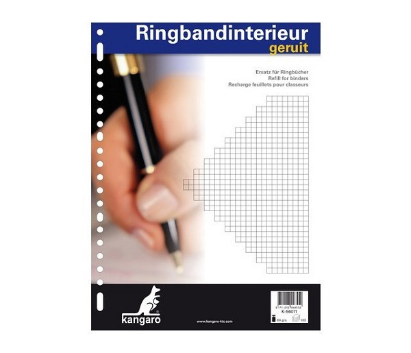 Ringbandinterieur 23r ruit 5 mm.