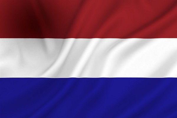 Vlag Nederland 30x45 cm spun-poly